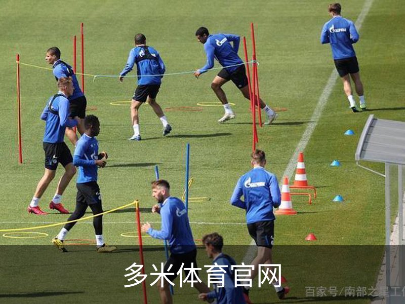 多米体育官网介绍
